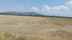 Balaton 2022
