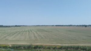 Balaton 2022